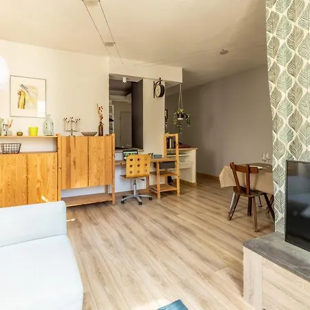 Barrieu Calme Lumineux & Proche Des Thermes Apartment Royat